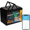 Elefast 12V 100Ah Bluetooth LiFePO4 Lithium Battery, 100A BMS,Low Temperature Protection with Up to 8000 Cycles, Max. 1280Wh Energy LiFePO4 Battery in