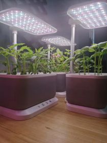 Mini Intelligent Hydroponic Planter Suitable For School, Family, Office, Home, Gift (colour: Grey)
